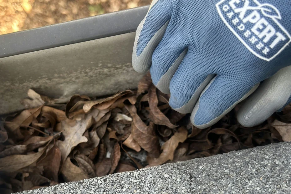 Gutter Cleaning Roswell