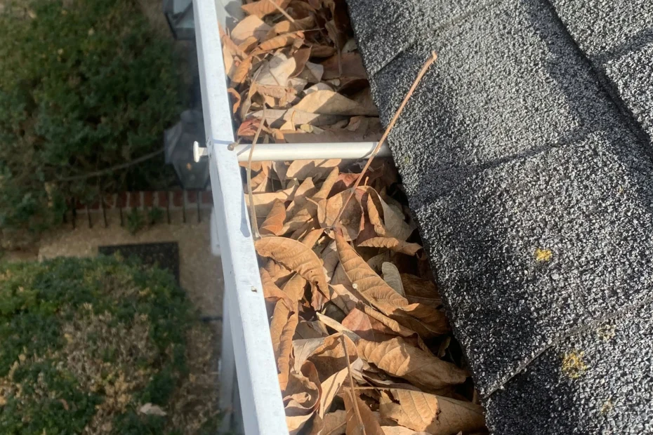 Gutter Cleaning Roswell