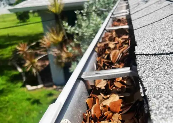 Gutter Cleaning Roswell home page